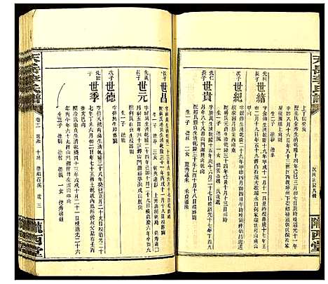 [李]天岳李氏谱 (湖南) 天岳李氏谱_九.pdf