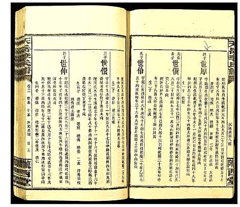 [李]天岳李氏谱 (湖南) 天岳李氏谱_九.pdf