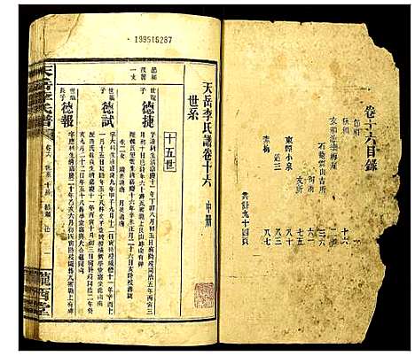 [李]天岳李氏谱 (湖南) 天岳李氏谱_十四.pdf