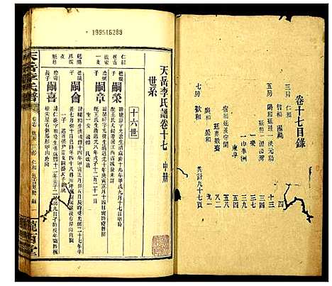 [李]天岳李氏谱 (湖南) 天岳李氏谱_十五.pdf