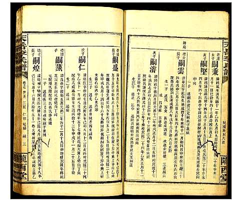 [李]天岳李氏谱 (湖南) 天岳李氏谱_十五.pdf