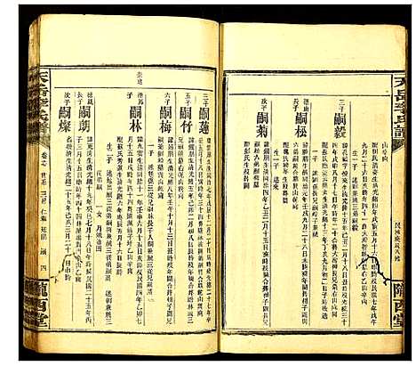 [李]天岳李氏谱 (湖南) 天岳李氏谱_十五.pdf