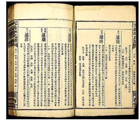 [李]天岳李氏谱 (湖南) 天岳李氏谱_十九.pdf