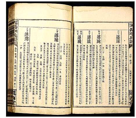 [李]天岳李氏谱 (湖南) 天岳李氏谱_十九.pdf