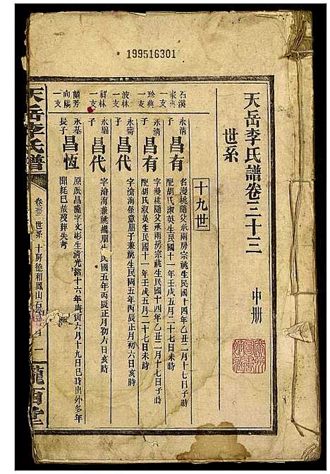 [李]天岳李氏谱 (湖南) 天岳李氏谱_二十八.pdf