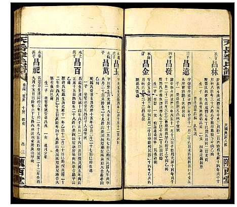 [李]天岳李氏谱 (湖南) 天岳李氏谱_二十九.pdf