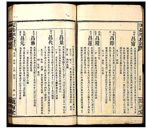 [李]天岳李氏谱 (湖南) 天岳李氏谱_二十九.pdf