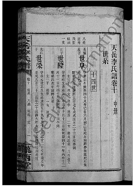 [李]天岳李氏谱_37卷及卷首 (湖南) 天岳李氏谱_八.pdf