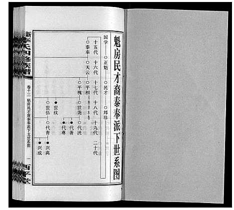 [李]新泽李氏四修族谱 (湖南) 新泽李氏四修家谱_十九.pdf