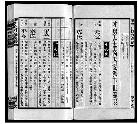 [李]新泽李氏四修族谱 (湖南) 新泽李氏四修家谱_二十八.pdf