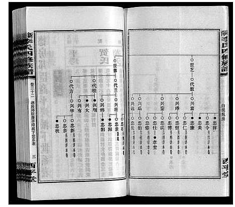 [李]新泽李氏四修族谱 (湖南) 新泽李氏四修家谱_三十八.pdf