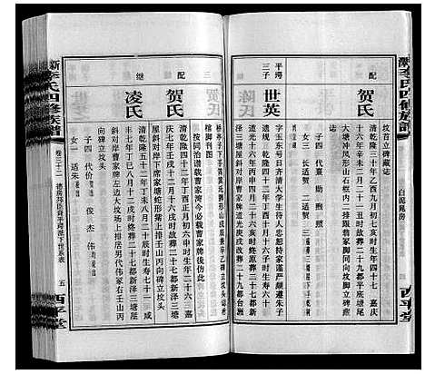 [李]新泽李氏四修族谱 (湖南) 新泽李氏四修家谱_三十八.pdf