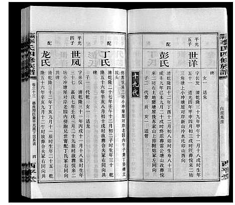 [李]新泽李氏四修族谱 (湖南) 新泽李氏四修家谱_三十九.pdf