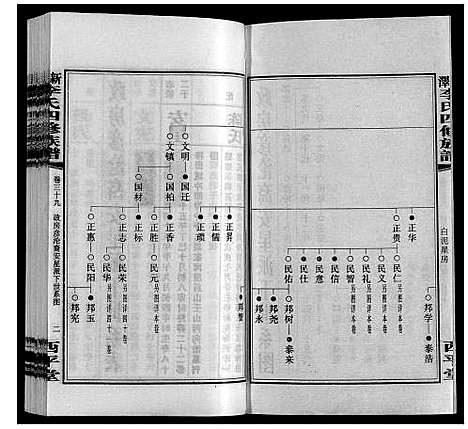 [李]新泽李氏四修族谱 (湖南) 新泽李氏四修家谱_四十五.pdf