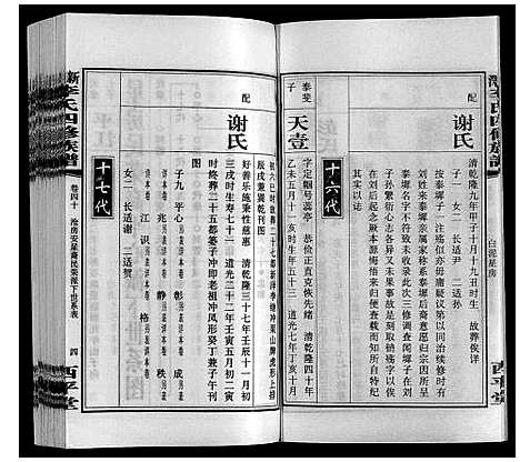 [李]新泽李氏四修族谱 (湖南) 新泽李氏四修家谱_四十六.pdf