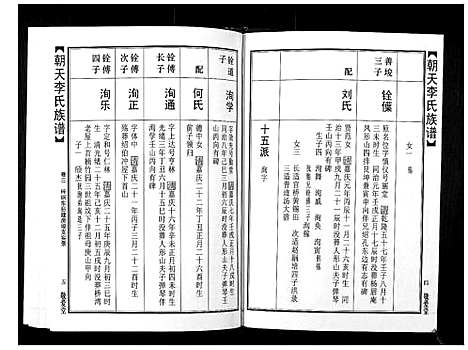 [李]朝天李氏族谱 (湖南) 朝天李氏家谱_八.pdf