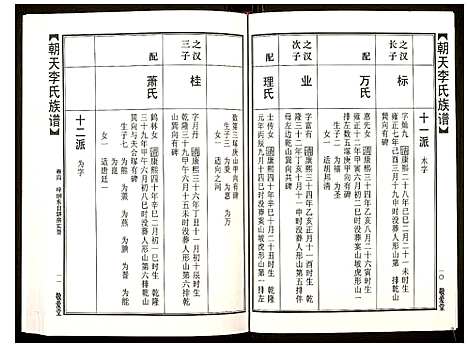 [李]朝天李氏族谱 (湖南) 朝天李氏家谱_九.pdf