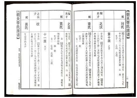 [李]朝天李氏族谱 (湖南) 朝天李氏家谱_十.pdf