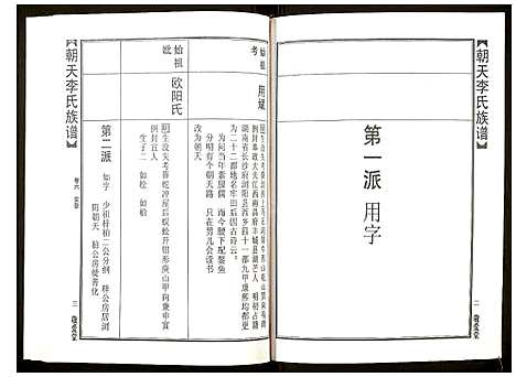 [李]朝天李氏族谱 (湖南) 朝天李氏家谱_十一.pdf