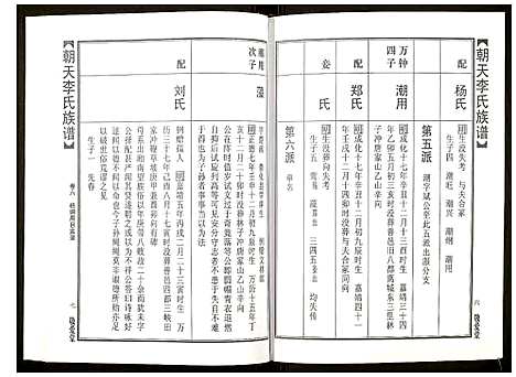 [李]朝天李氏族谱 (湖南) 朝天李氏家谱_十一.pdf