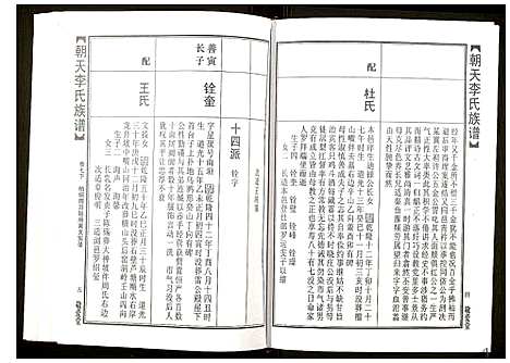 [李]朝天李氏族谱 (湖南) 朝天李氏家谱_十二.pdf