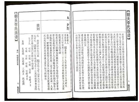 [李]朝天李氏族谱 (湖南) 朝天李氏家谱_十三.pdf