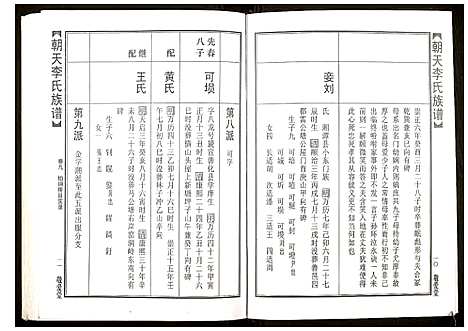 [李]朝天李氏族谱 (湖南) 朝天李氏家谱_十四.pdf