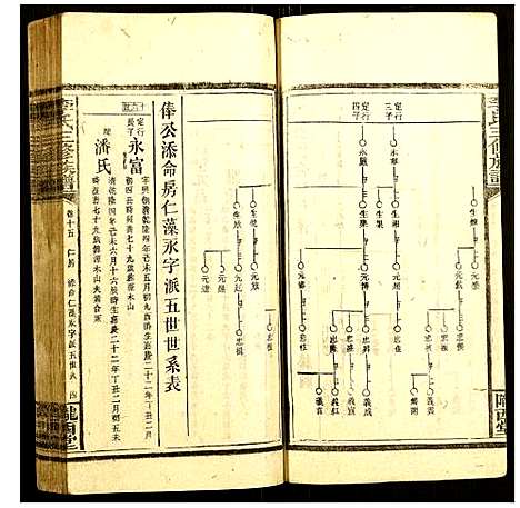 [李]李氏三修族谱 (湖南) 李氏三修家谱_九.pdf