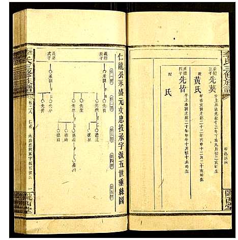 [李]李氏三修族谱 (湖南) 李氏三修家谱_十二.pdf