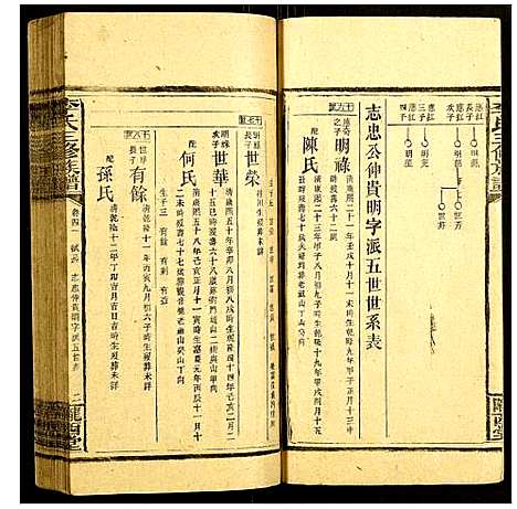 [李]李氏三修族谱 (湖南) 李氏三修家谱_十八.pdf