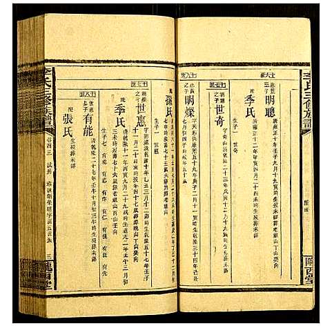 [李]李氏三修族谱 (湖南) 李氏三修家谱_十九.pdf