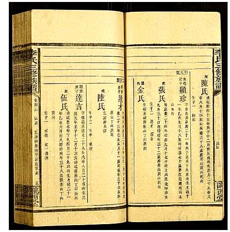 [李]李氏三修族谱 (湖南) 李氏三修家谱_十九.pdf