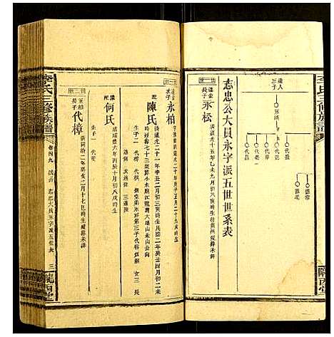 [李]李氏三修族谱 (湖南) 李氏三修家谱_二十三.pdf