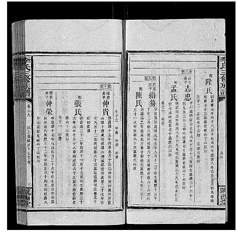 [李]李氏三修族谱_70卷首2卷末1卷 (湖南) 李氏三修家谱_五.pdf