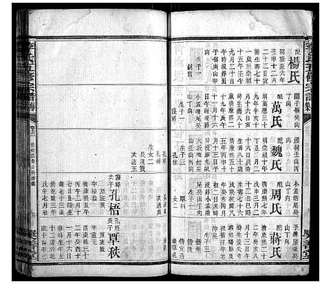 [李]李氏五修宗谱 (湖南) 李氏五修家谱_九.pdf