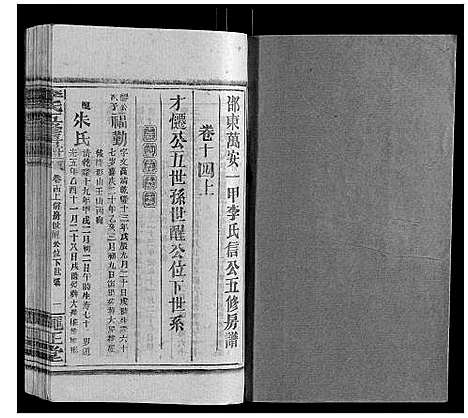 [李]李氏五修房谱_15卷首末各1卷 (湖南) 李氏五修房谱_十一.pdf