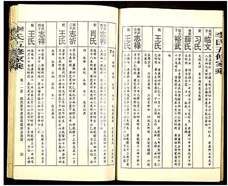 [李]李氏十修家乘_按房分集_首3卷-Li Shi Shi Xiu Jia Sheng (湖南) 李氏十修家乘_十五.pdf