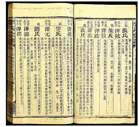 [李]李氏宗谱 (湖南) 李氏家谱_十一.pdf