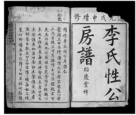 [李]李氏性珍公房谱 (湖南) 李氏性珍公房谱_一.pdf