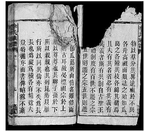 [李]李氏族谱 (湖南) 李氏家谱_三.pdf