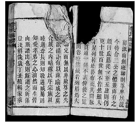 [李]李氏族谱 (湖南) 李氏家谱_三.pdf