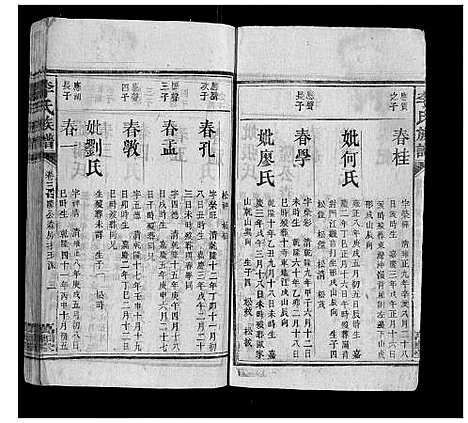 [李]李氏族谱 (湖南) 李氏家谱_九.pdf