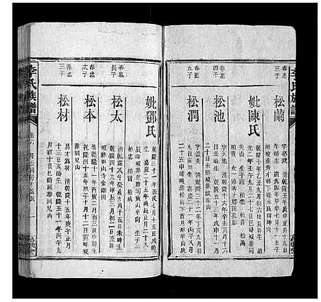 [李]李氏族谱 (湖南) 李氏家谱_十一.pdf