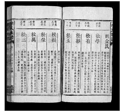 [李]李氏族谱 (湖南) 李氏家谱_十一.pdf