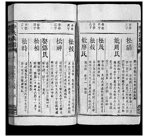 [李]李氏族谱 (湖南) 李氏家谱_十一.pdf