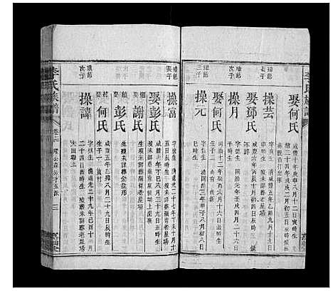 [李]李氏族谱 (湖南) 李氏家谱_十七.pdf