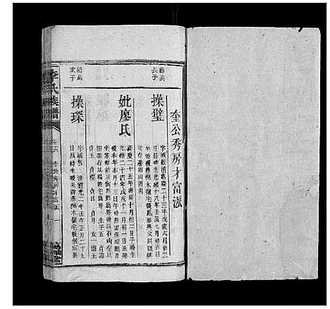 [李]李氏族谱 (湖南) 李氏家谱_十九.pdf