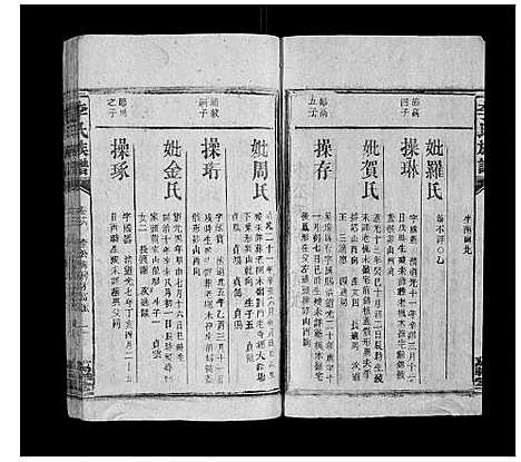 [李]李氏族谱 (湖南) 李氏家谱_十九.pdf