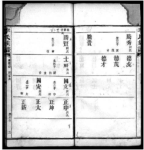 [李]李氏族谱_不分卷 (湖南) 李氏家谱_二十二.pdf