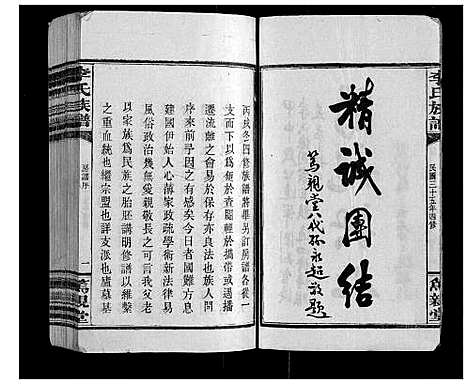 [李]李氏族谱_不分卷 (湖南) 李氏家谱.pdf